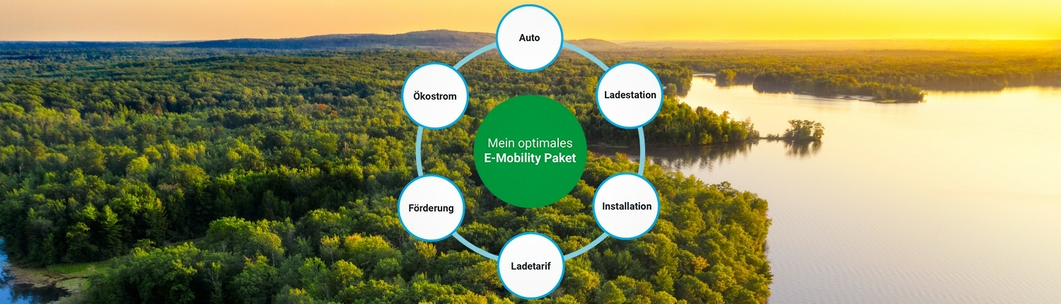 Digitale Kaufberatung zur Elektromobilität 1