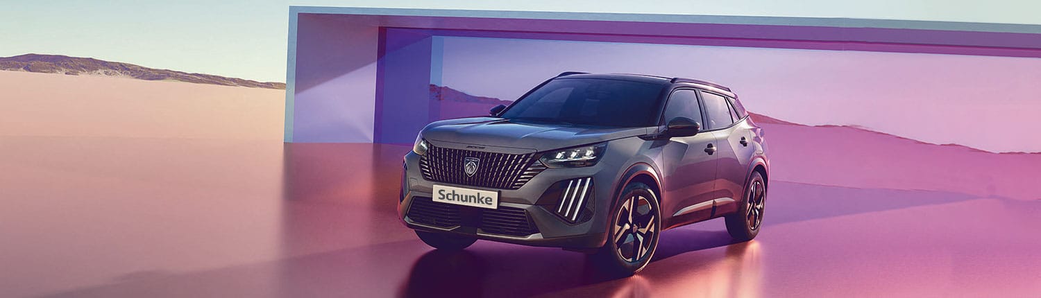 PEUGEOT 2008 1