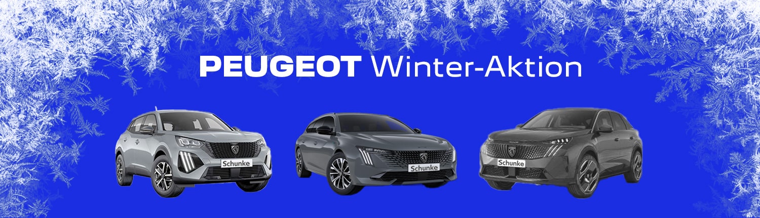PEUGEOT Winter-Aktion 1