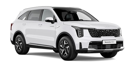 Kia Modelle 2