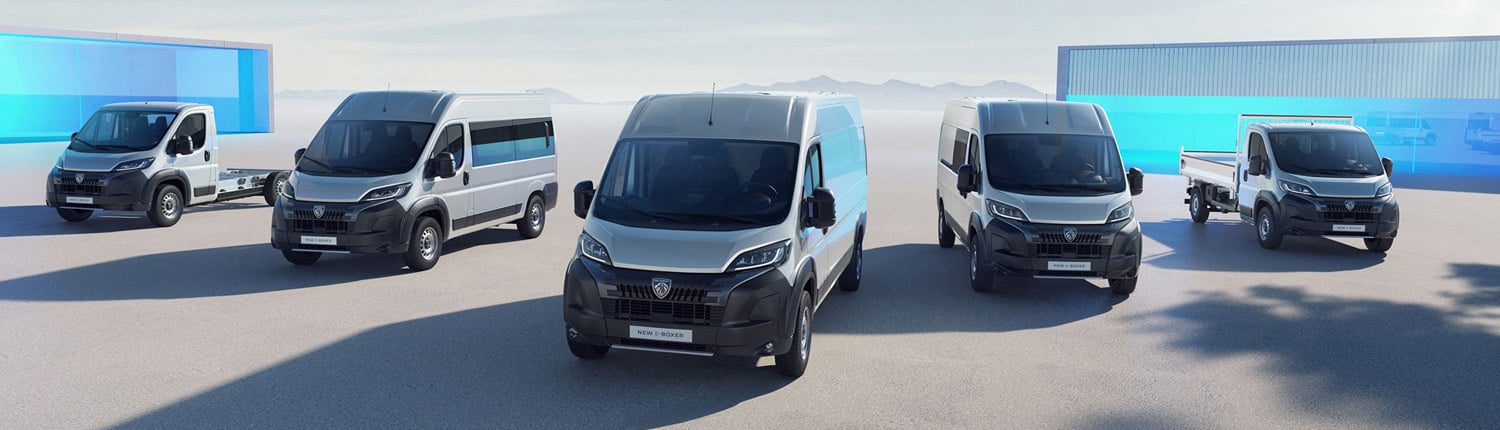 Fünf Peugeot Boxer